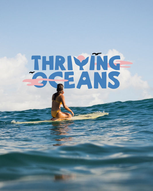 Surfers for Climate Membership