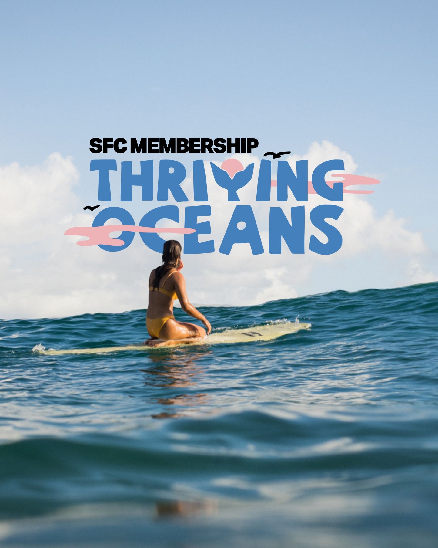 Surfers for Climate membership