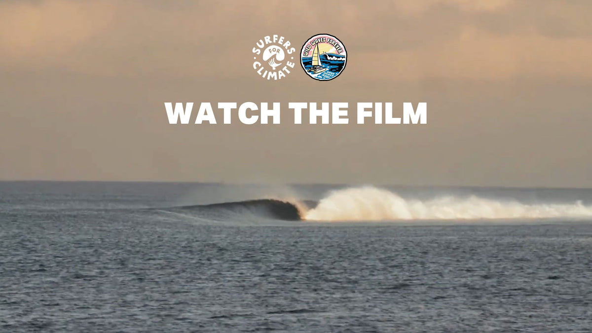 Save Scott Reef – Surfers For Climate Org