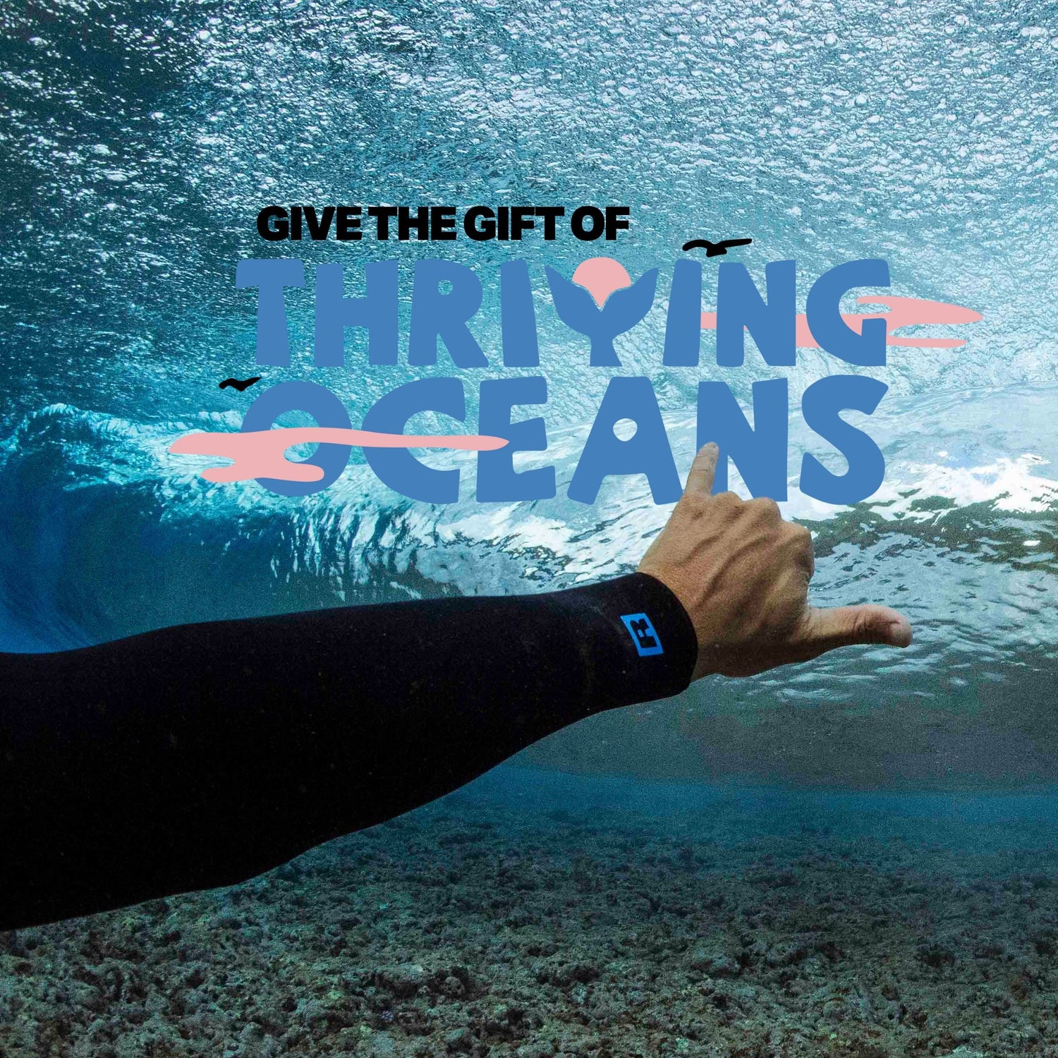 Hand in a wetsuit pointing towards the ocean with 'Give the Gift of Thriving Oceans' text.